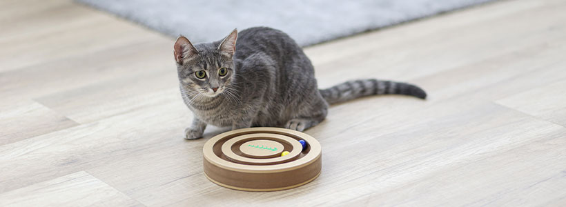 Kerbl Pet - Katze