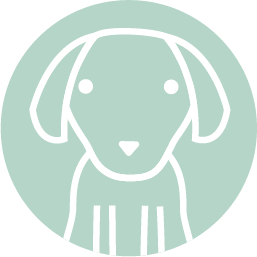Kerbl PET Icon Hund
