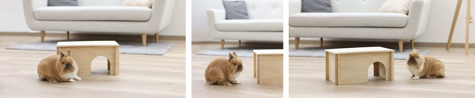 Neuheiten - Nagerhaus Natural
