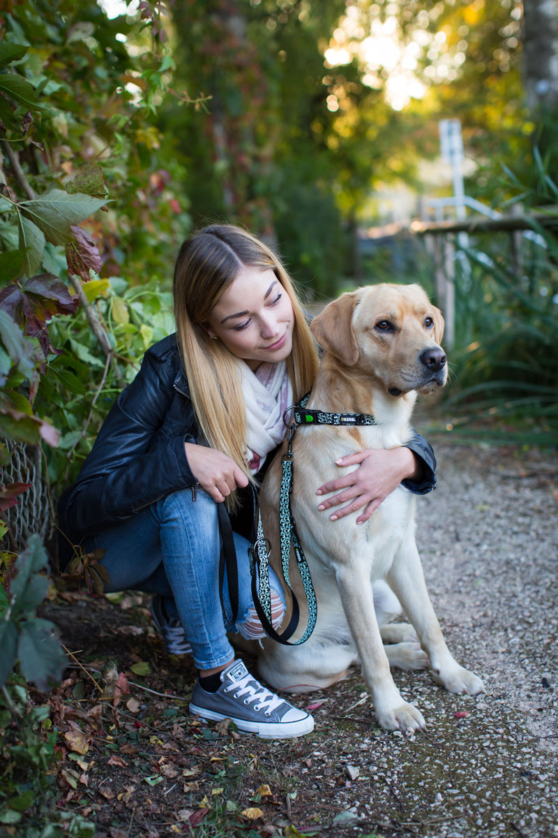 Ratgeber Hund - Hundefreundliche Unterkunft