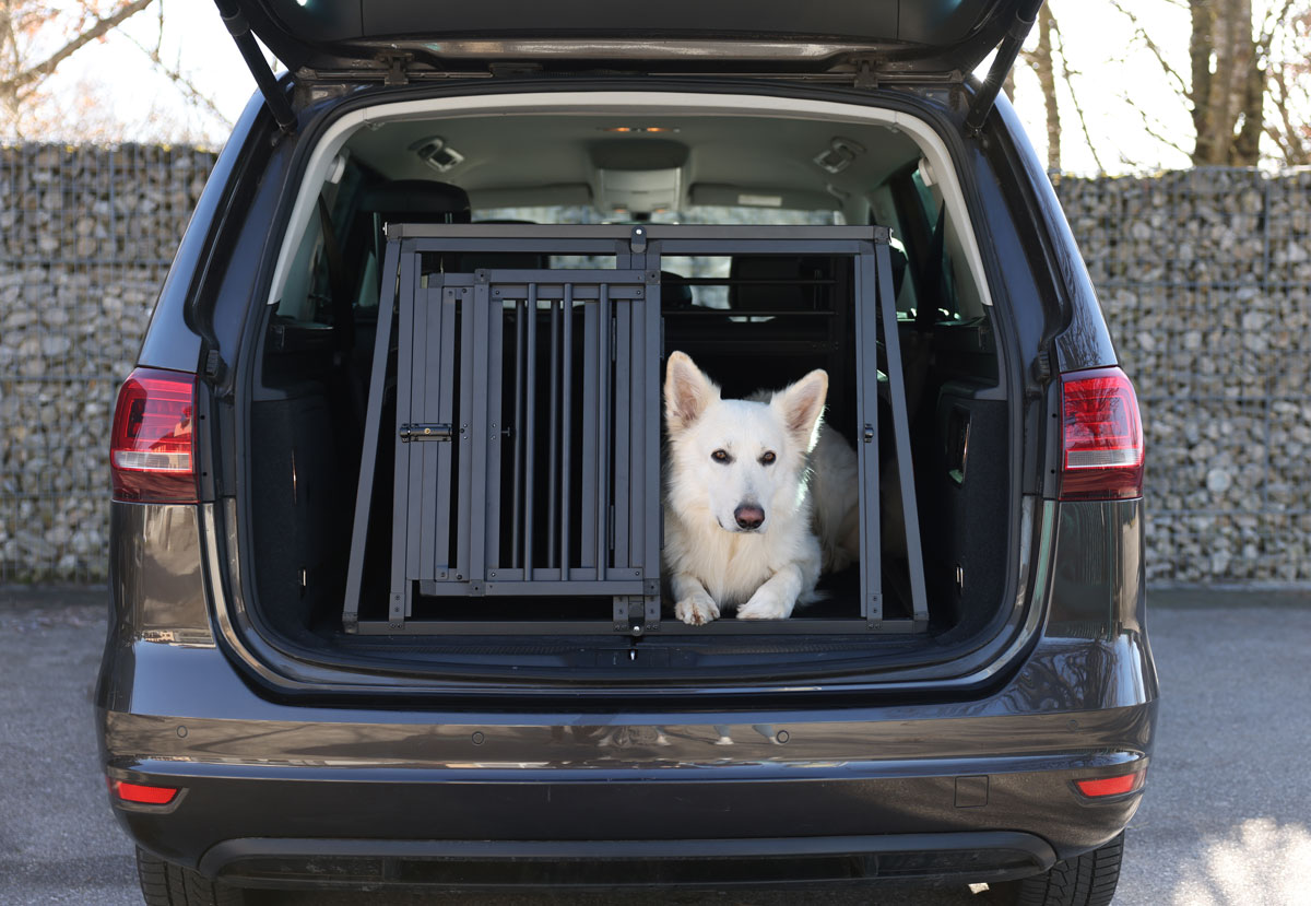 Ratgeber Hund - Alu-Transportbox für den Urlaub