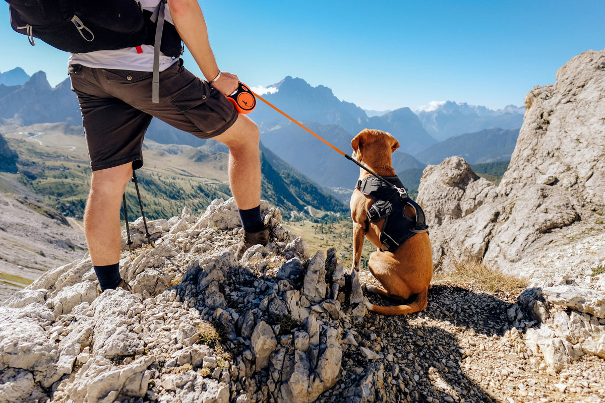 Ratgeber Hund - Urlaub mit Hund