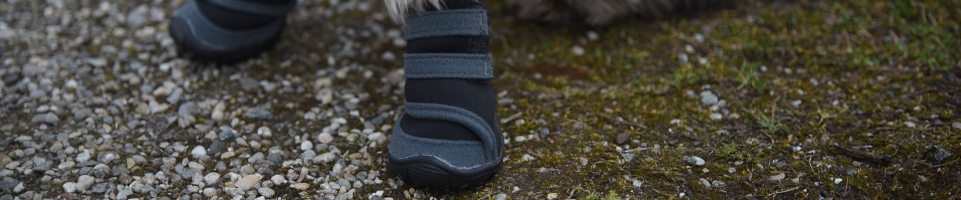 Kerbl Pet - Hundebedarf - Hundeschuhe