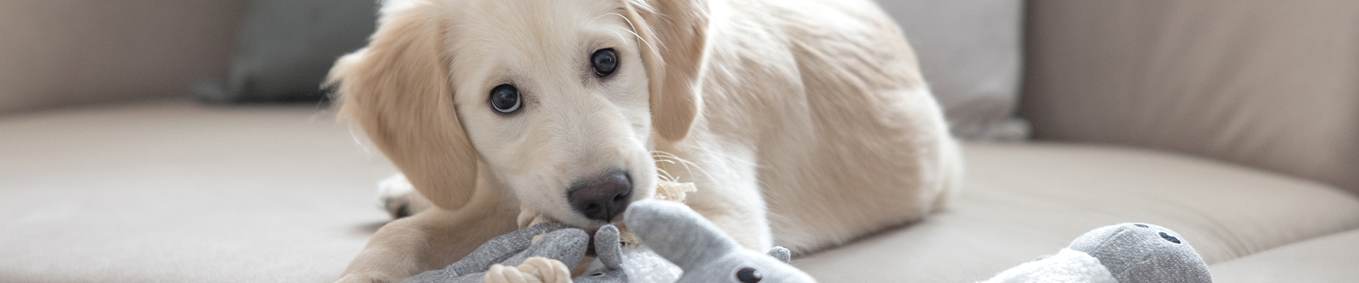 Kerbl Pet - Hundebedarf - Kuscheltier