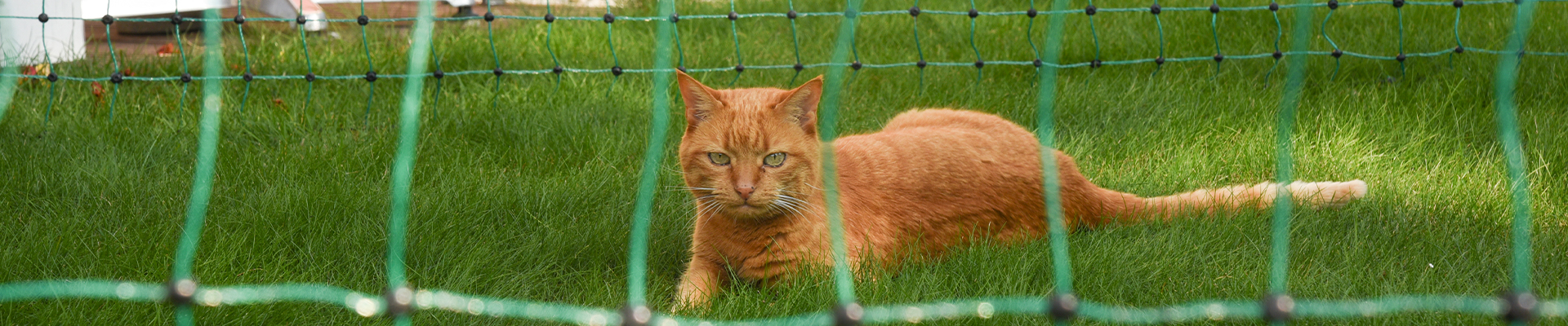 Kerbl Pet - Katzenbedarf - Katzennetze