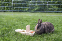 Denk- und Lernspielzeug Snackbox