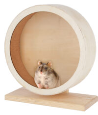 Hamsterlaufrad