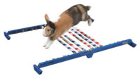 Kombisprung Agility