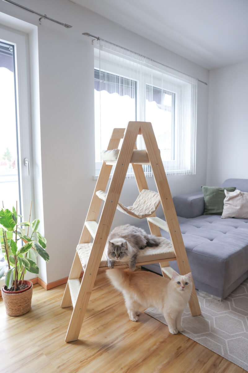 Kratzbaum Ladder