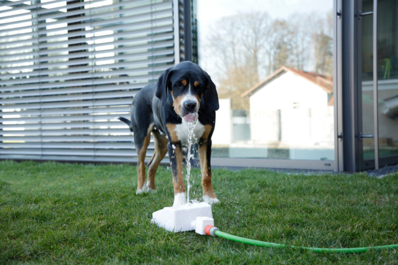 Wasserspringbrunnen Bubble