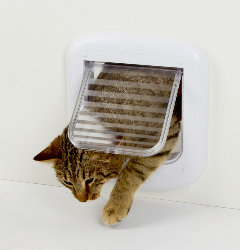 4-way Cat Door