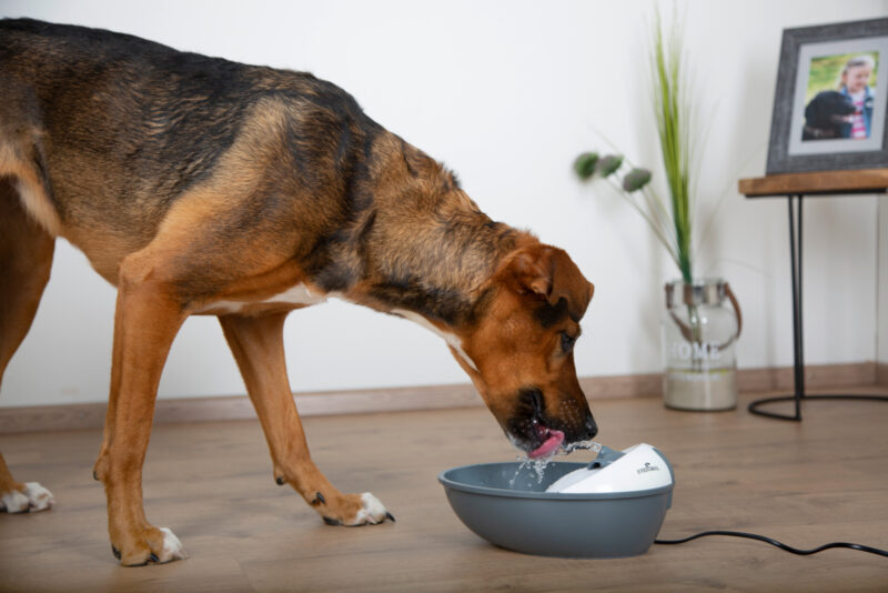 Abreuvoir Classic Pet Fountain