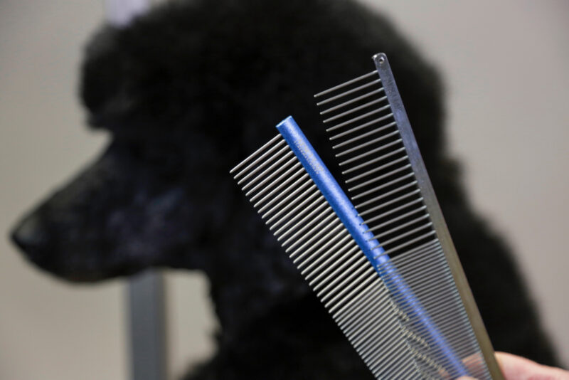 Aesculap Fur Brush with Aluminium Handle