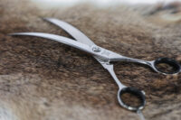 Aesculap Grooming Scissors