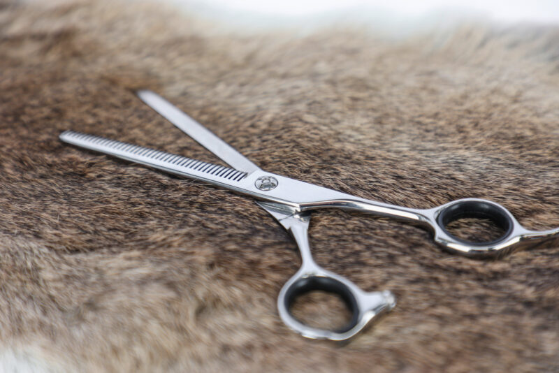 Aesculap Grooming Scissors