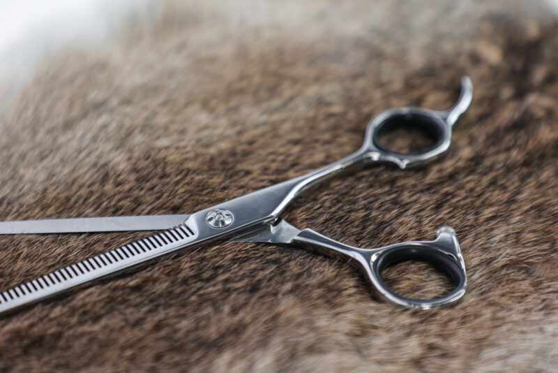 Aesculap Grooming Scissors