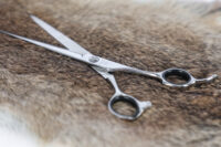 Aesculap Grooming Scissors