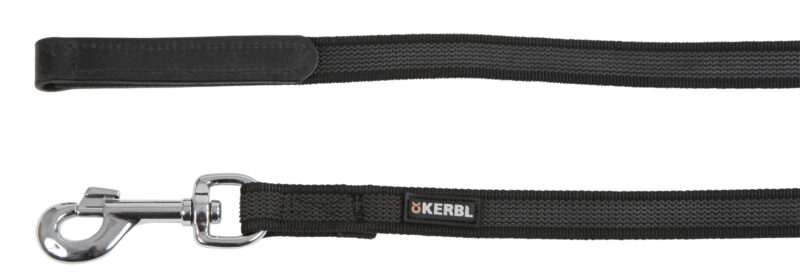 Anti-slip Extending Leash