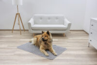 Anti-slip Thermal Carpet