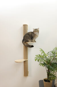 Arbre à chat Timber