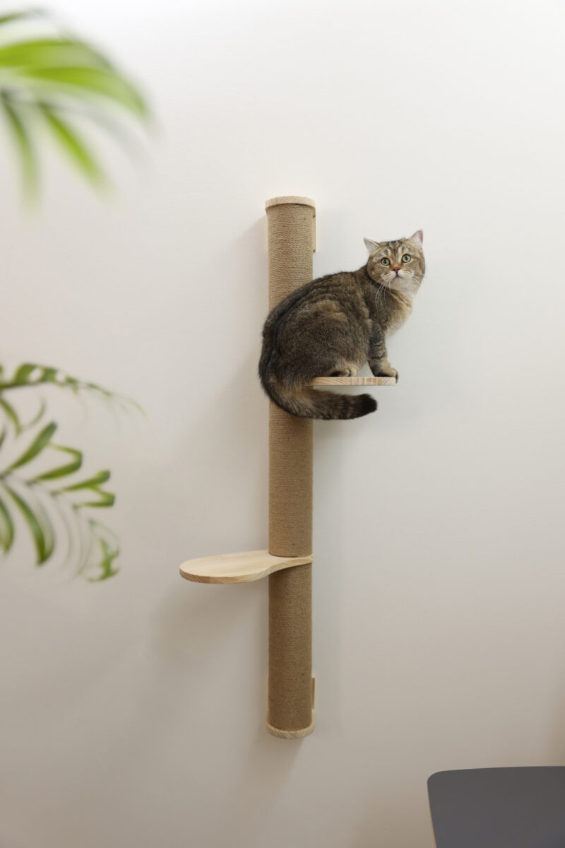 Arbre à chat Timber