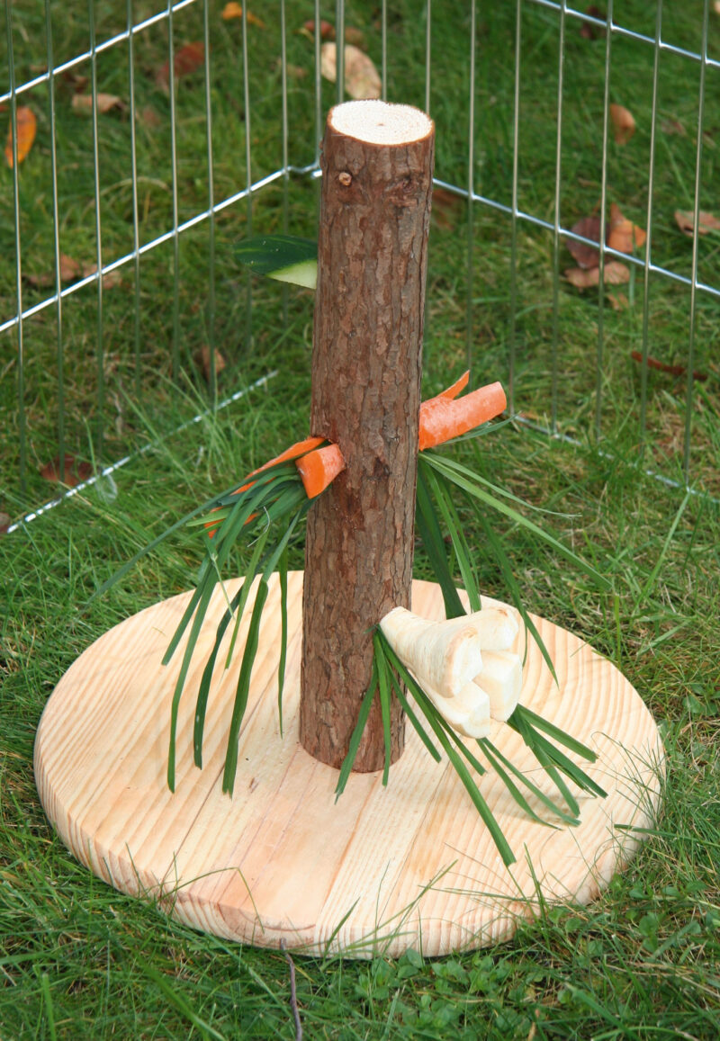 Arbre à nourriture pour rongeur Nature