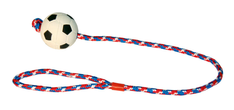 Ball on a Rope