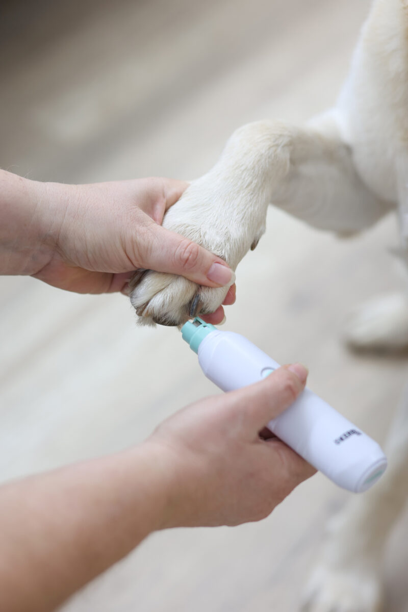 Battery-Powered Nail File