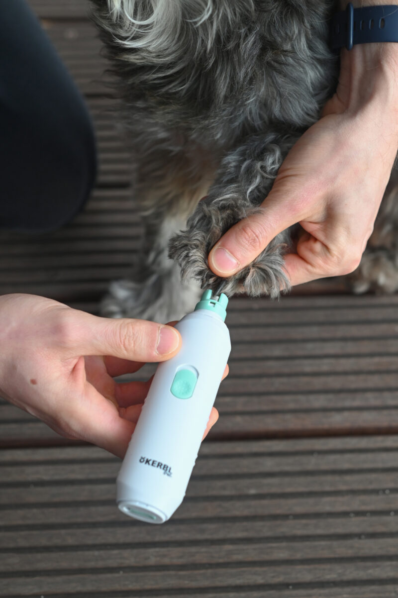 Battery-Powered Nail File