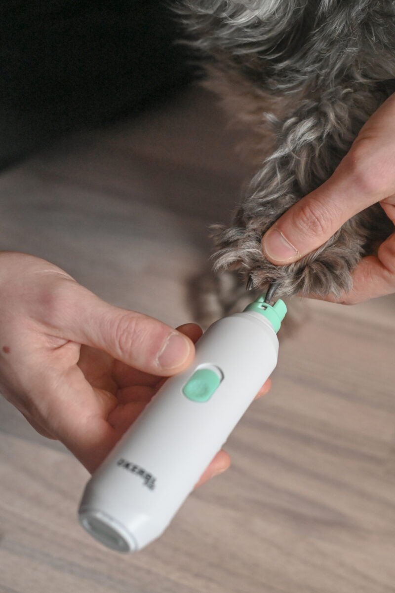 Battery-Powered Nail File