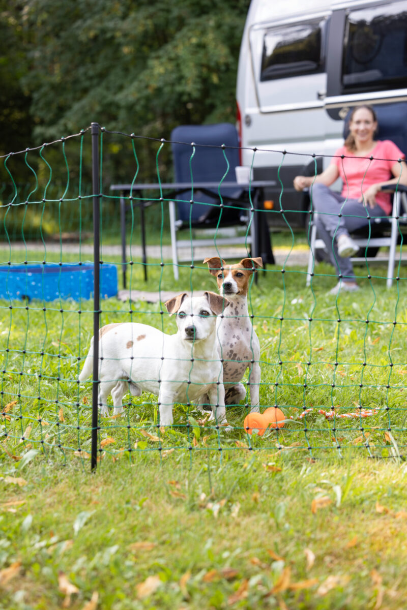 Begrenzungszaun Camping Net