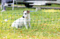 Begrenzungszaun Camping Net