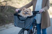 Bike Bag Vacation