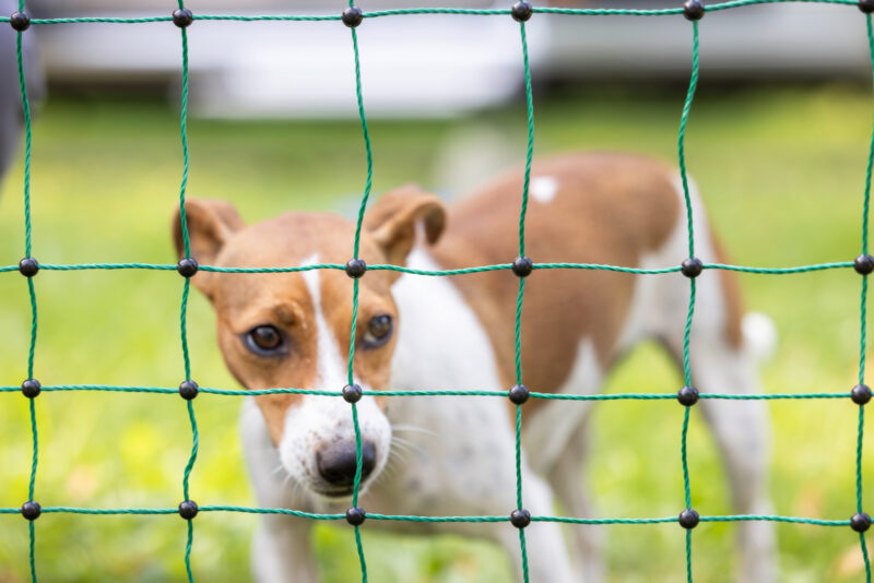 Boundary fence Camping Net