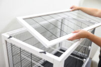 Cage pour oiseaux Fips