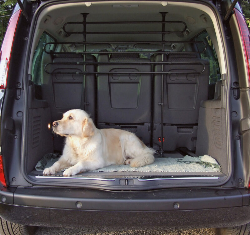 Car Safety Panel