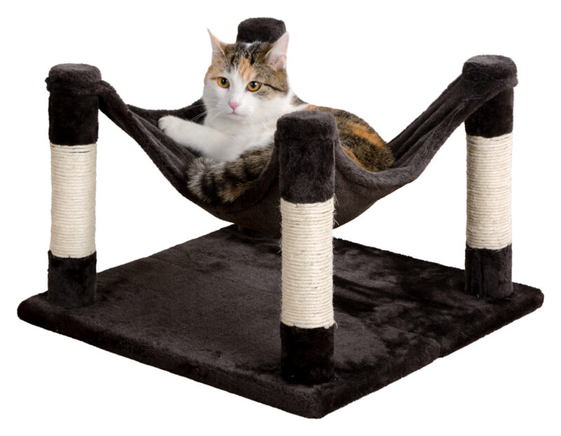 Cat Hammock Samira