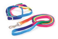 Cat Harness Rainbow