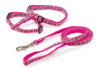 Cat Harness with Leash