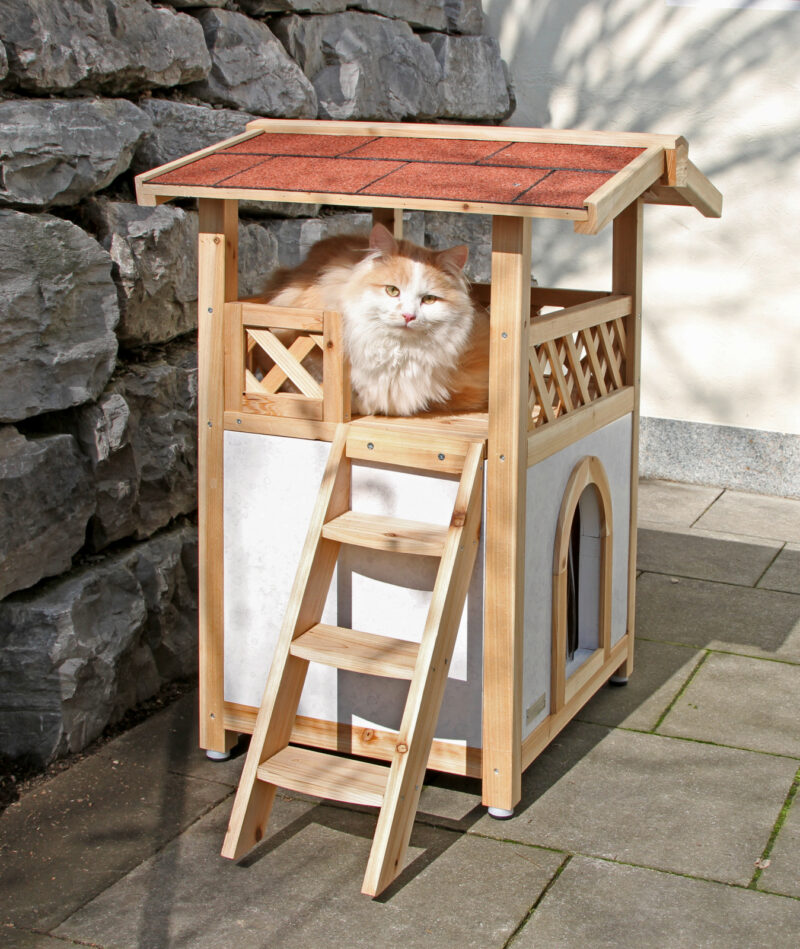 Cat House Tyrol Alpin