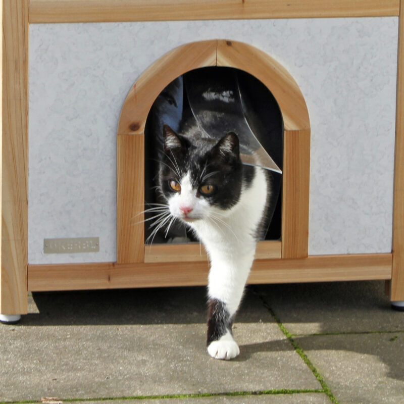 Cat House Tyrol Alpin