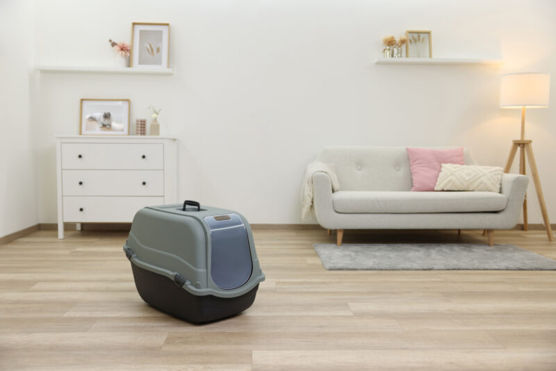 Cat Litter Box Emma Eco