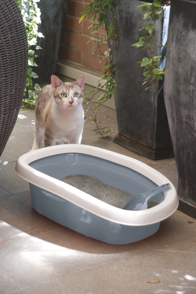 Cat Litter Box Sprint