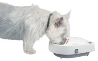 Cat Mate® Feeder C300