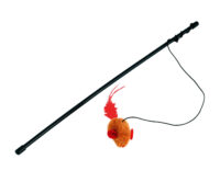 Cat play fishing rod Maus