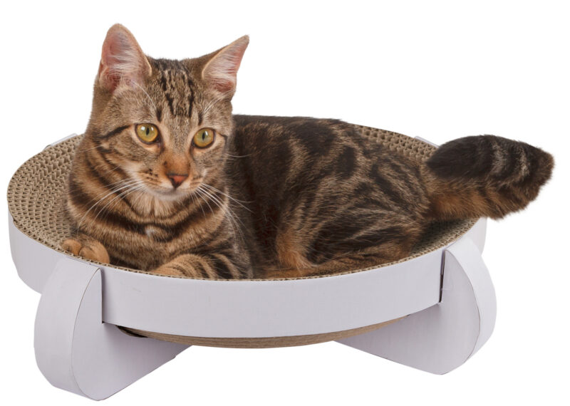 Cat Scratch Bed Platinum