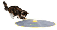 Cat Toy 2in1 Catch the TailFeather