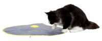 Cat Toy 2in1 Catch the TailFeather