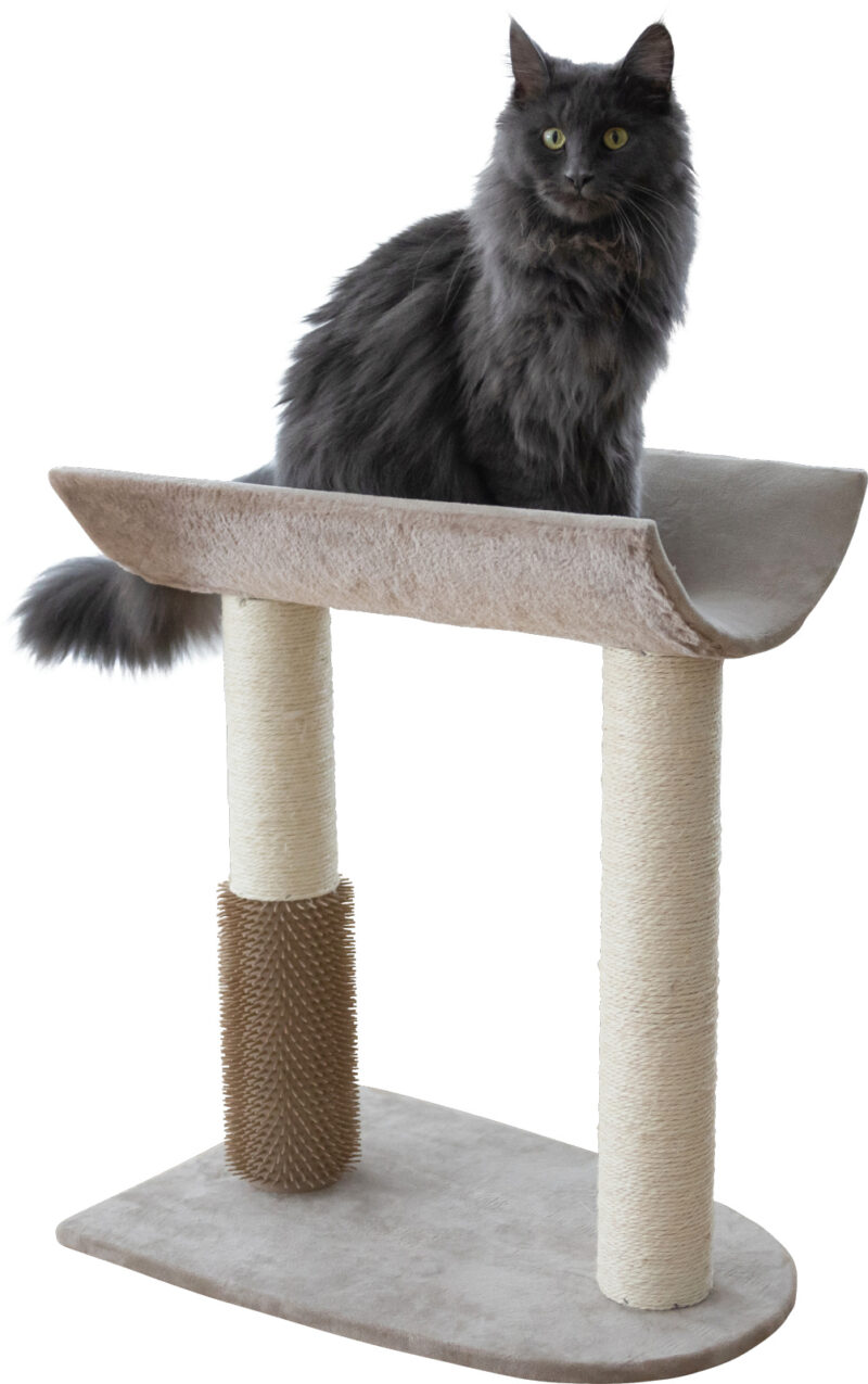 Cat Tree Ambiance