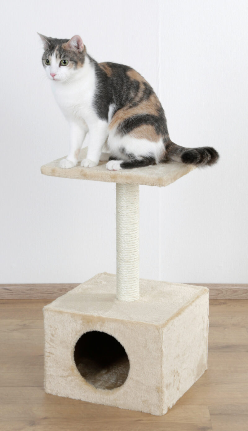 Cat Tree Amethyst